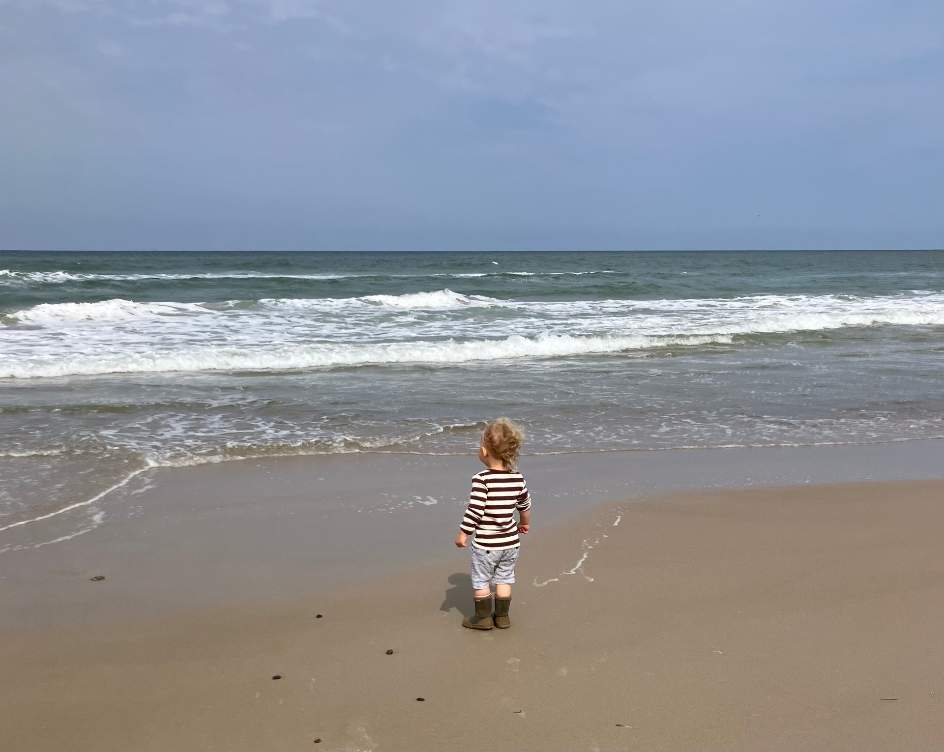 Quiet Nordic shoreline at low tide